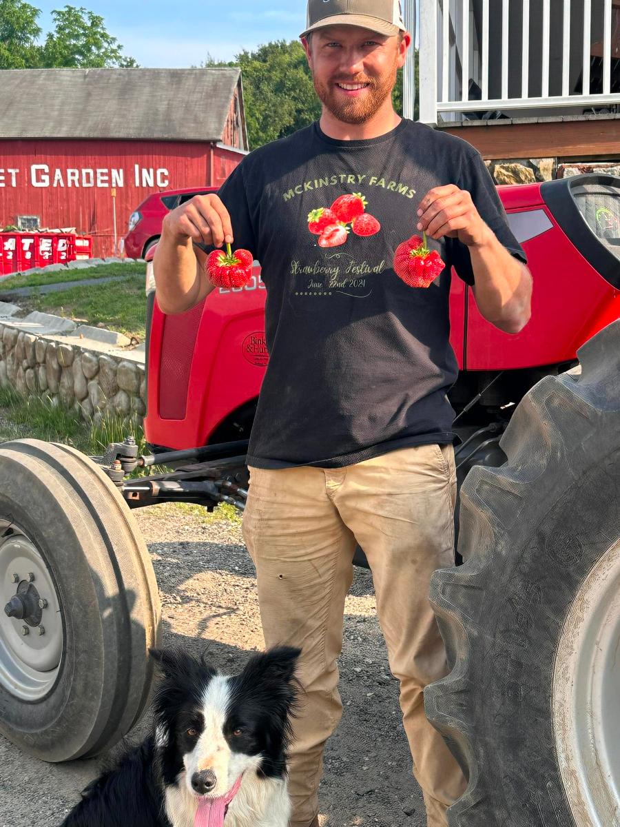 Fresh from the Field Strawberries!