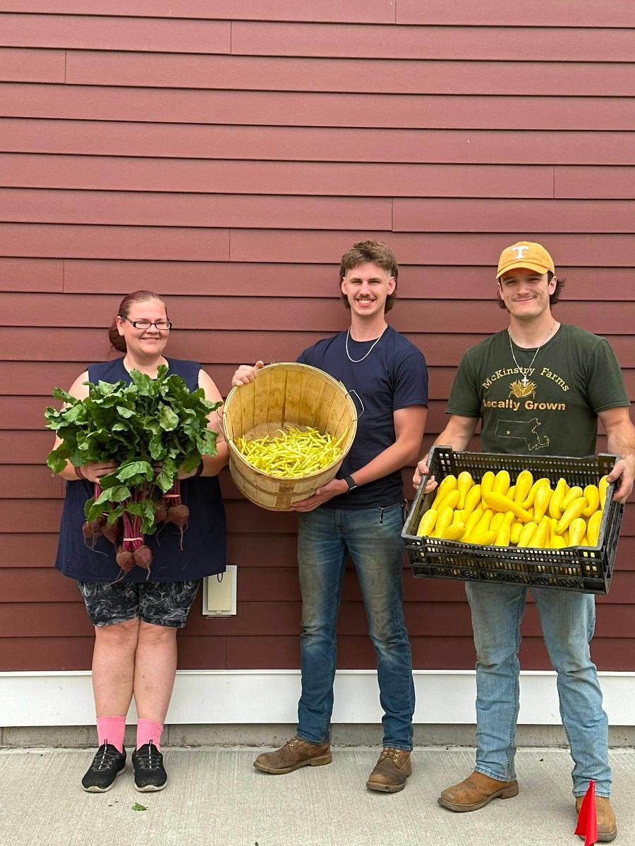 Bountiful Spring Harvest