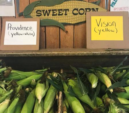 Providence Corn